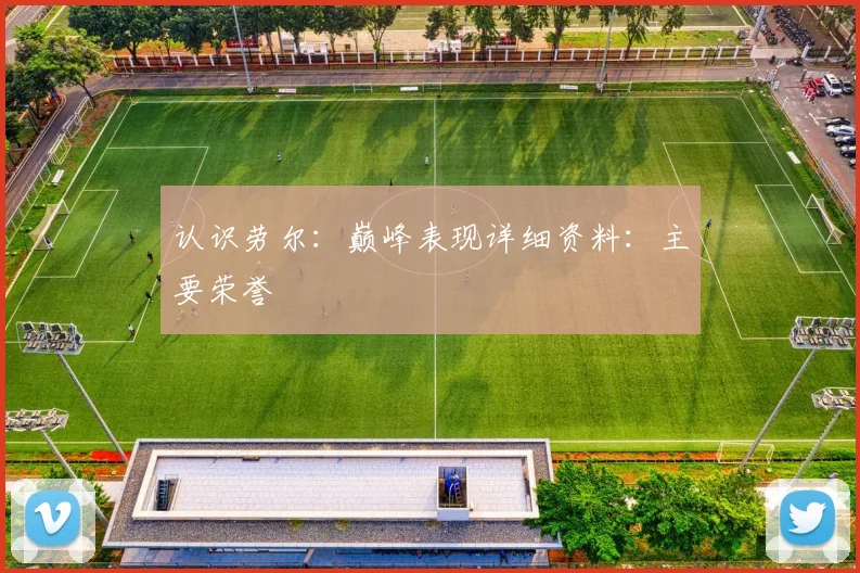 认识劳尔：巅峰表现详细资料：主要荣誉