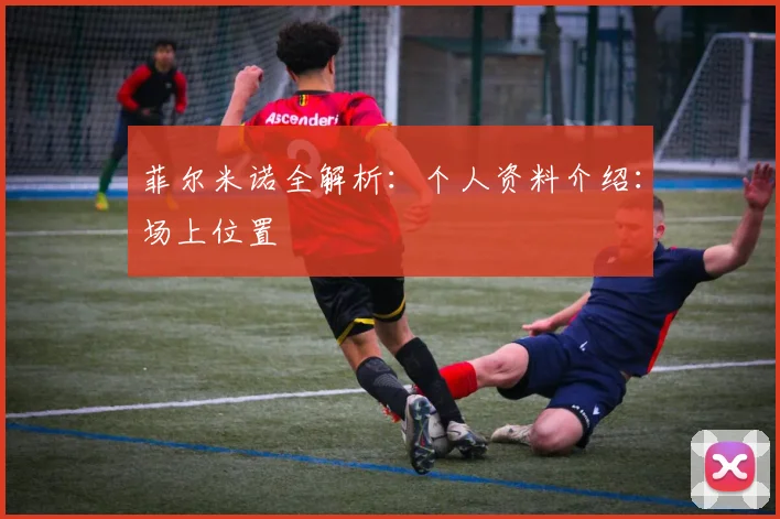 菲尔米诺全解析：个人资料介绍：场上位置